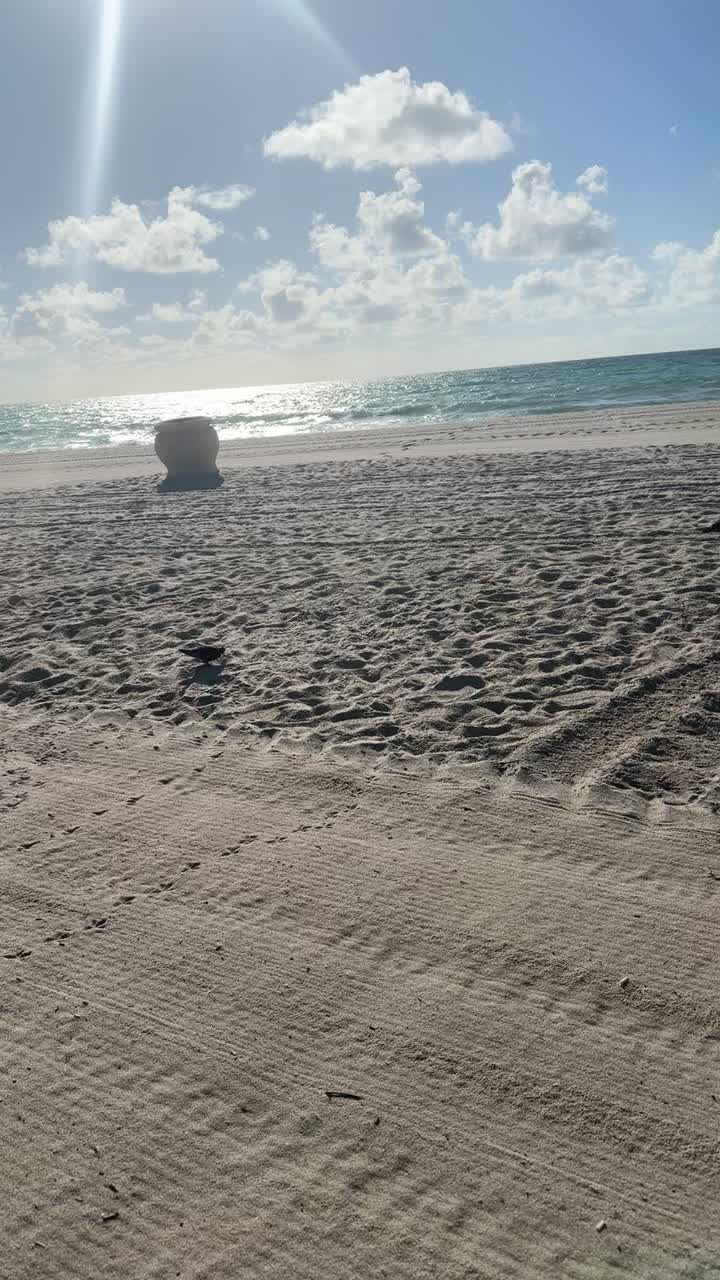 Video review of Florio's of Little Italy