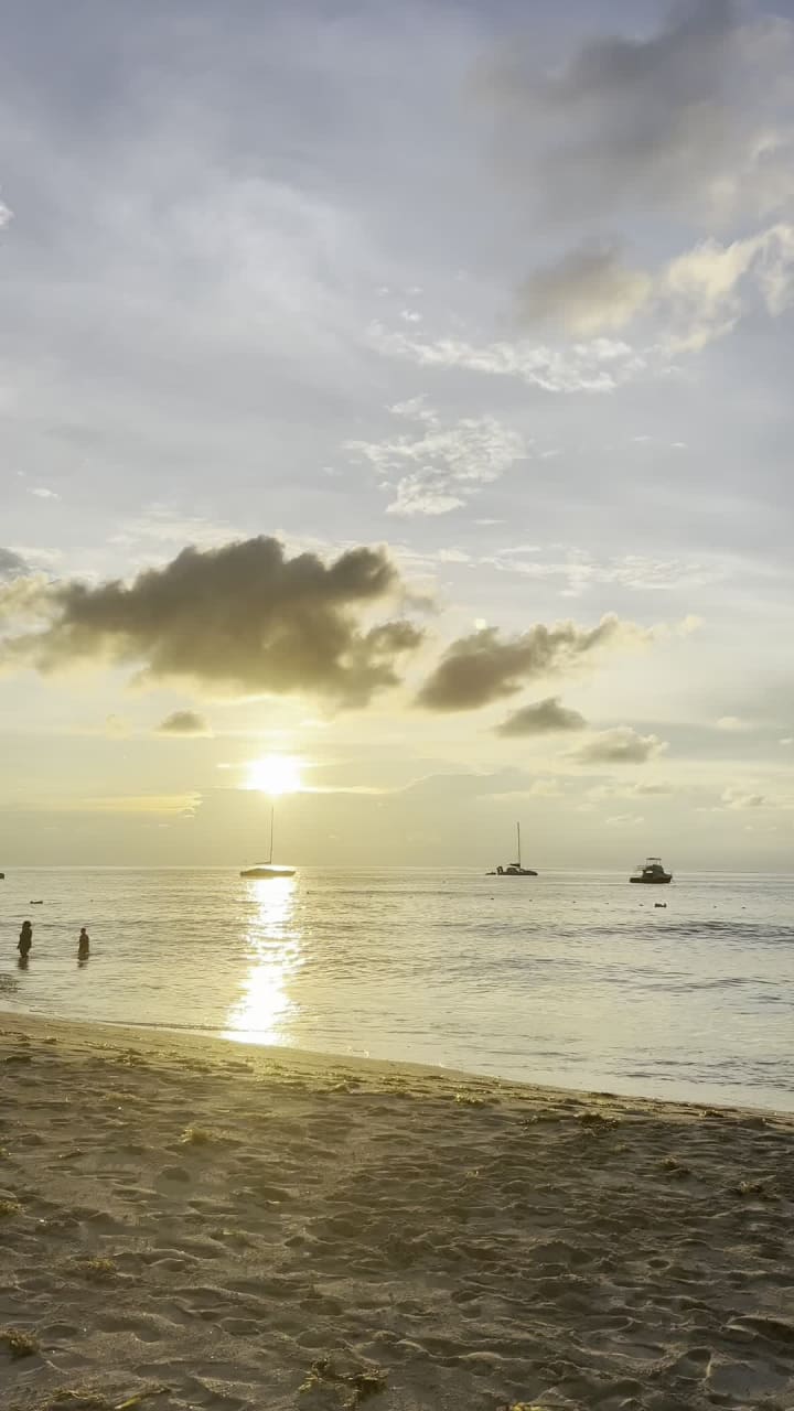 Video review of Palm Beach