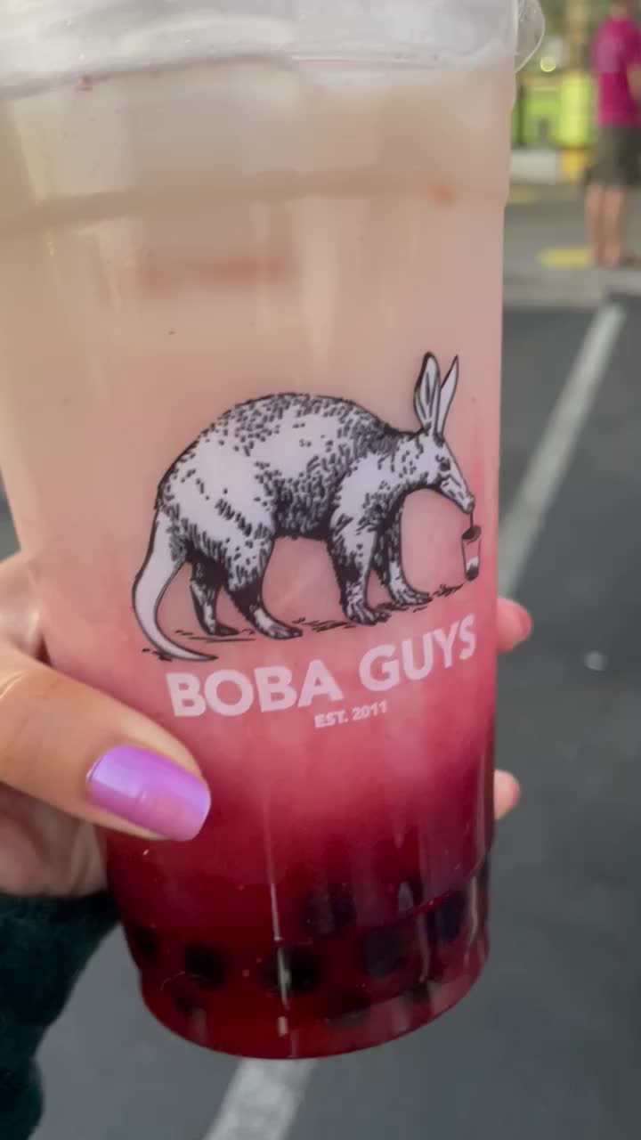 Video review of Boba Guys