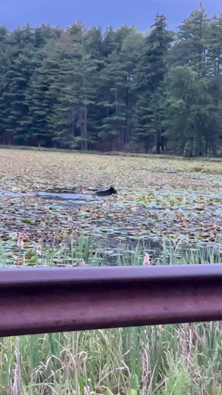 Ashokan Quarry Trail