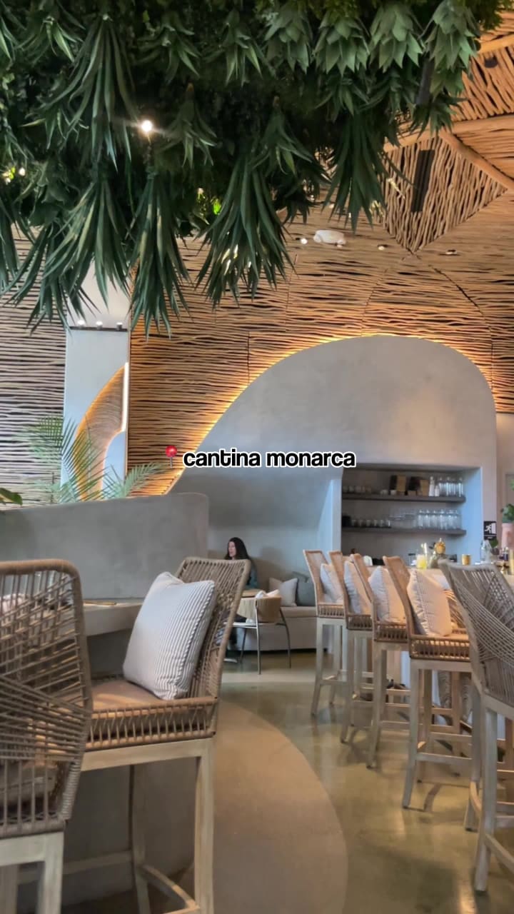 Cantina Monarca