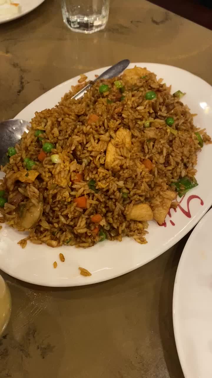 Video review of Yu's Mandarin