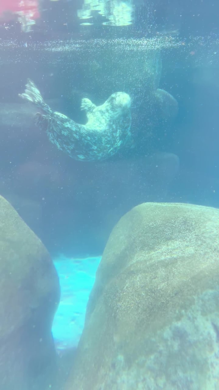 Video review of Virginia Aquarium & Marine Science Center