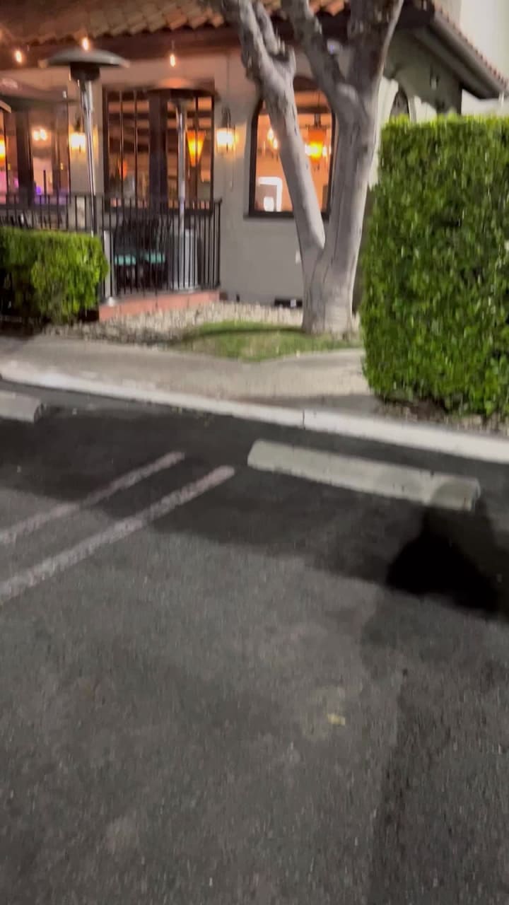 Video review of El Torito