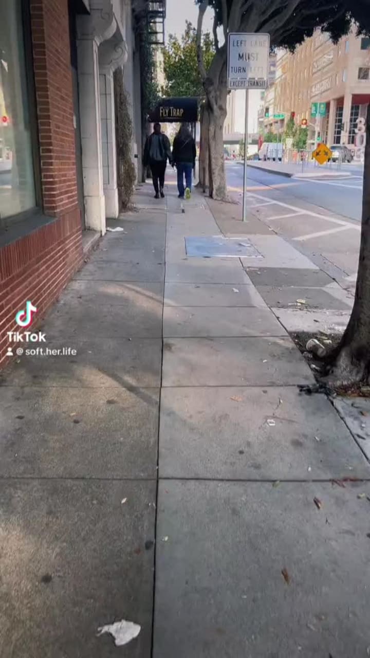 Video review of The Fly Trap