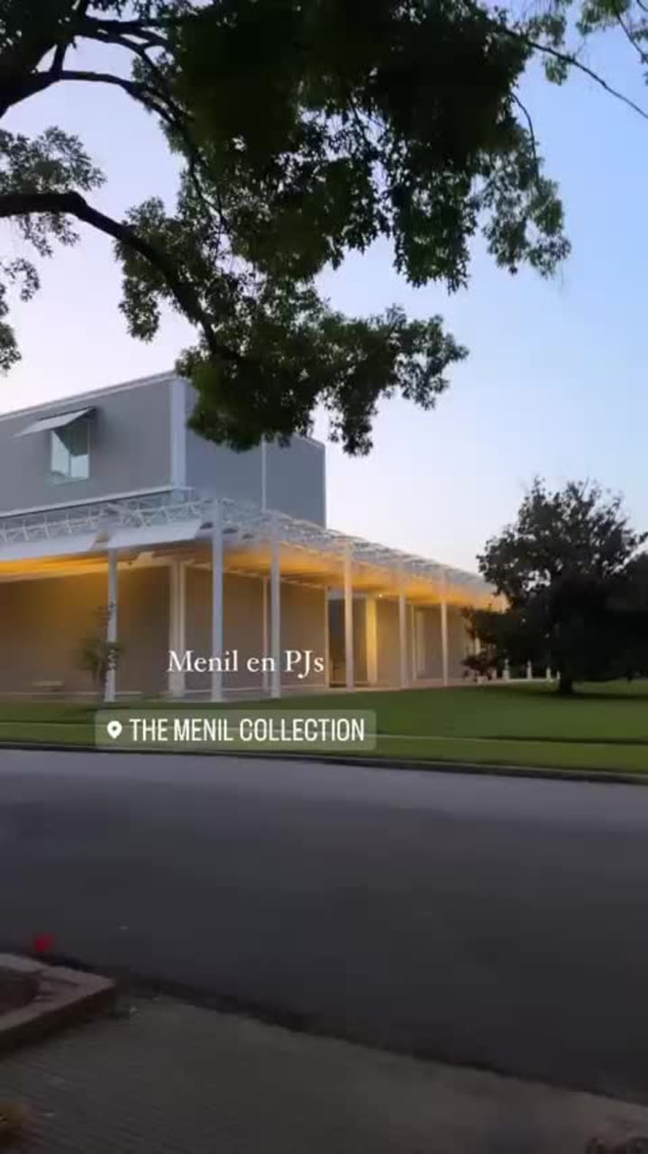 Video review of The Menil Collection