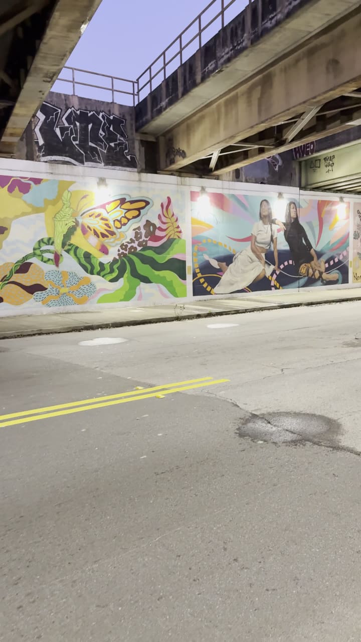 Video review of Candler Park