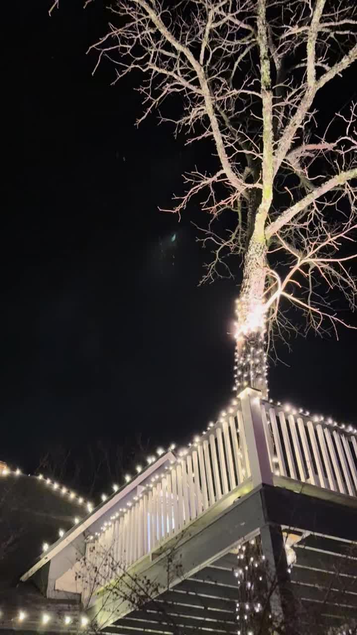 Video review of Ermilio's Italian Home Cooking