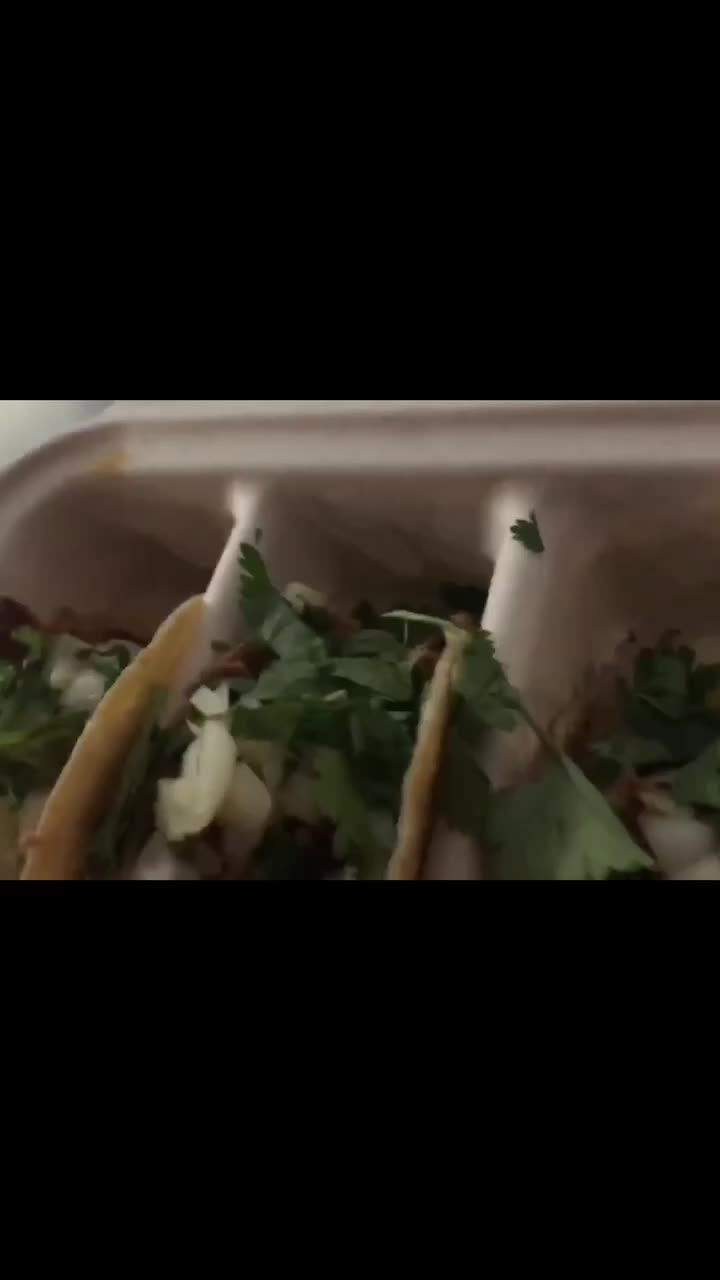 Video review of Industry