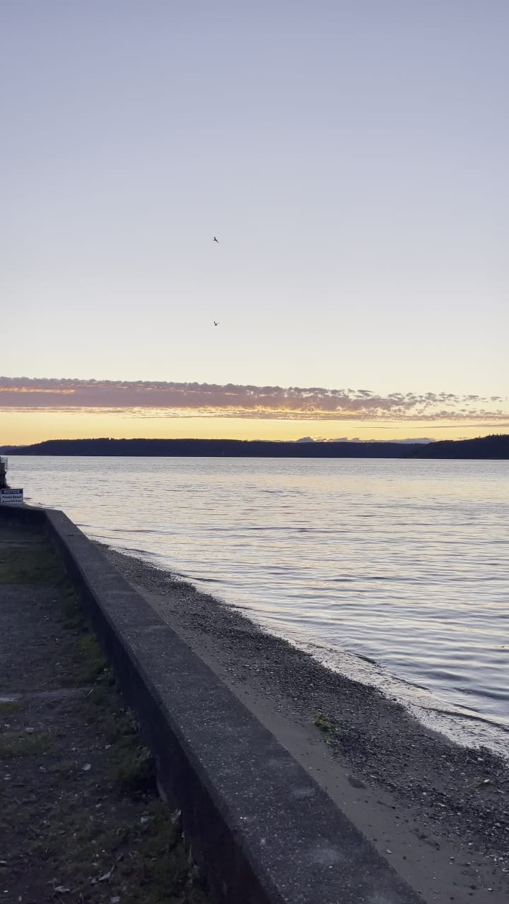 Dash Point Park & Pier