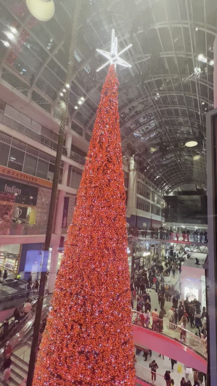 Video review of CF Toronto Eaton Centre