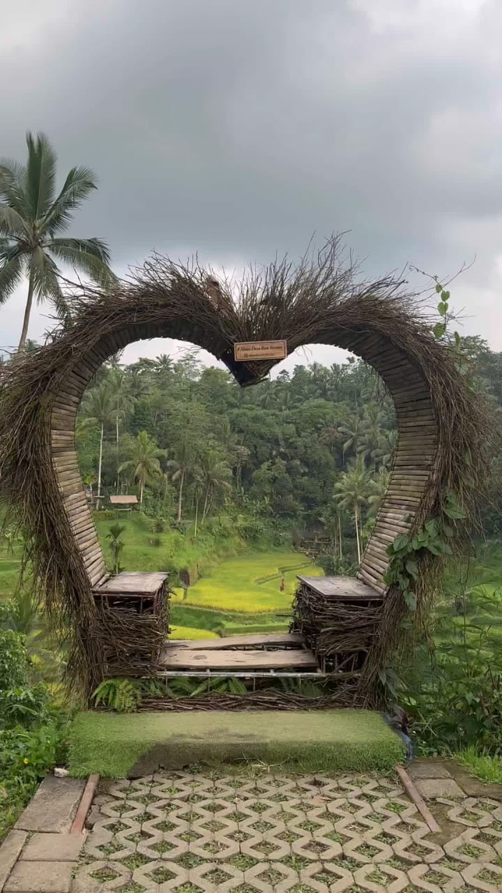 Video review of Tegallalang Rice Terraces