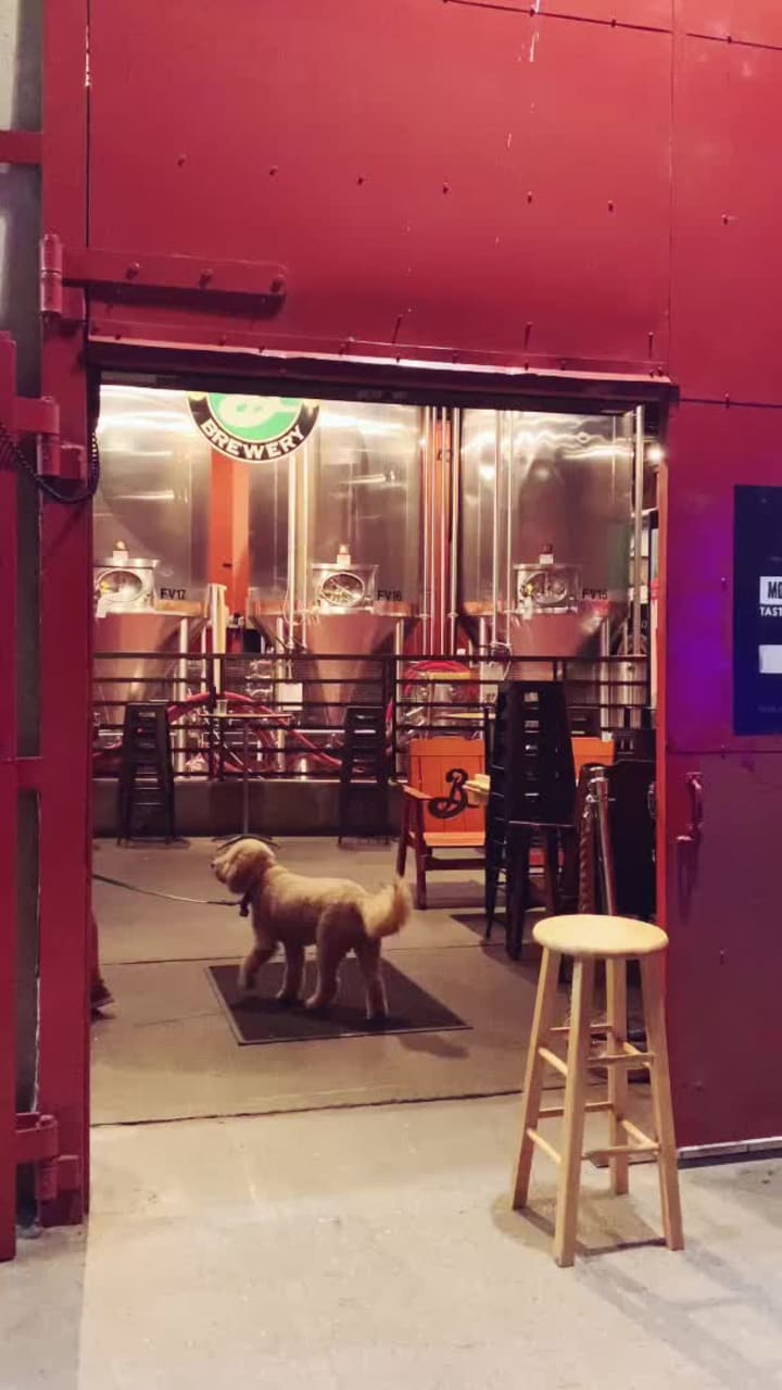 Video review of Brooklyn Brewery