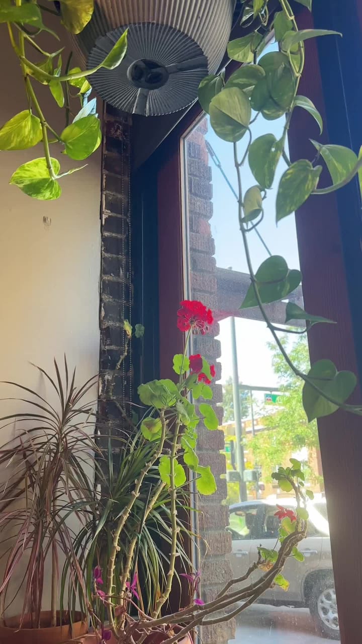 Video review of Pablo's Coffee