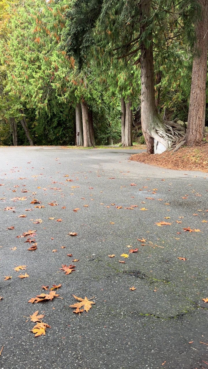 Chuckanut Dr view point
