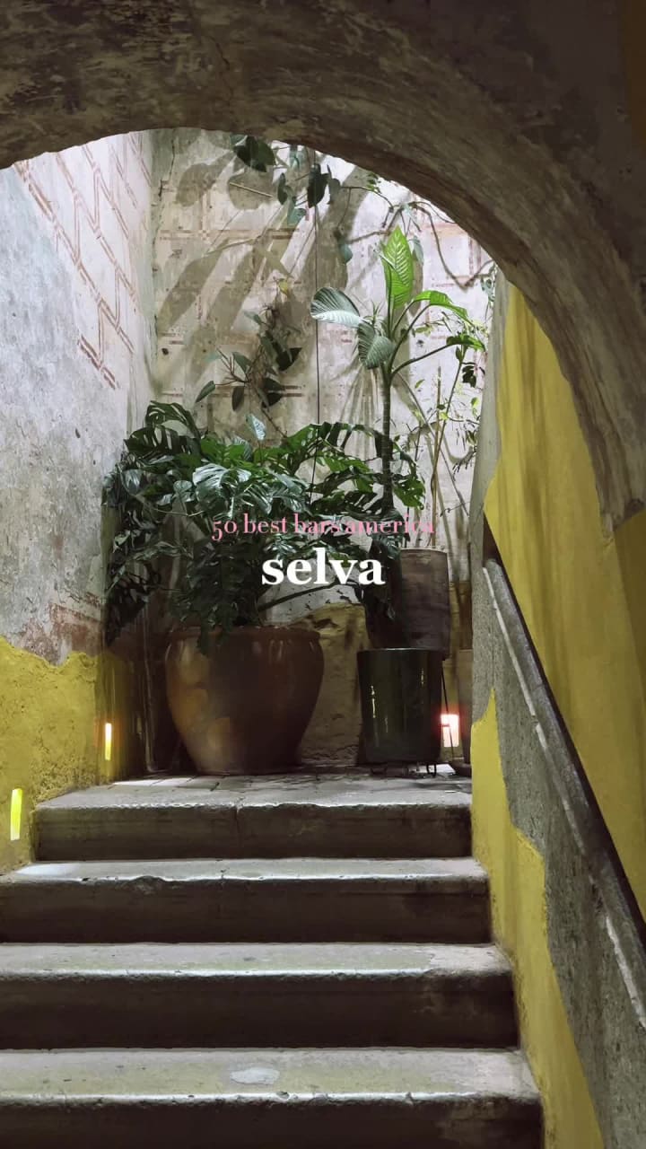 Selva Cocktail Bar