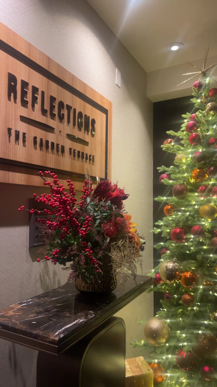 Video review of Reflections