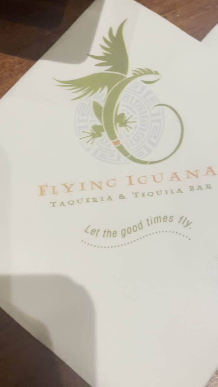 Video review of Flying Iguana