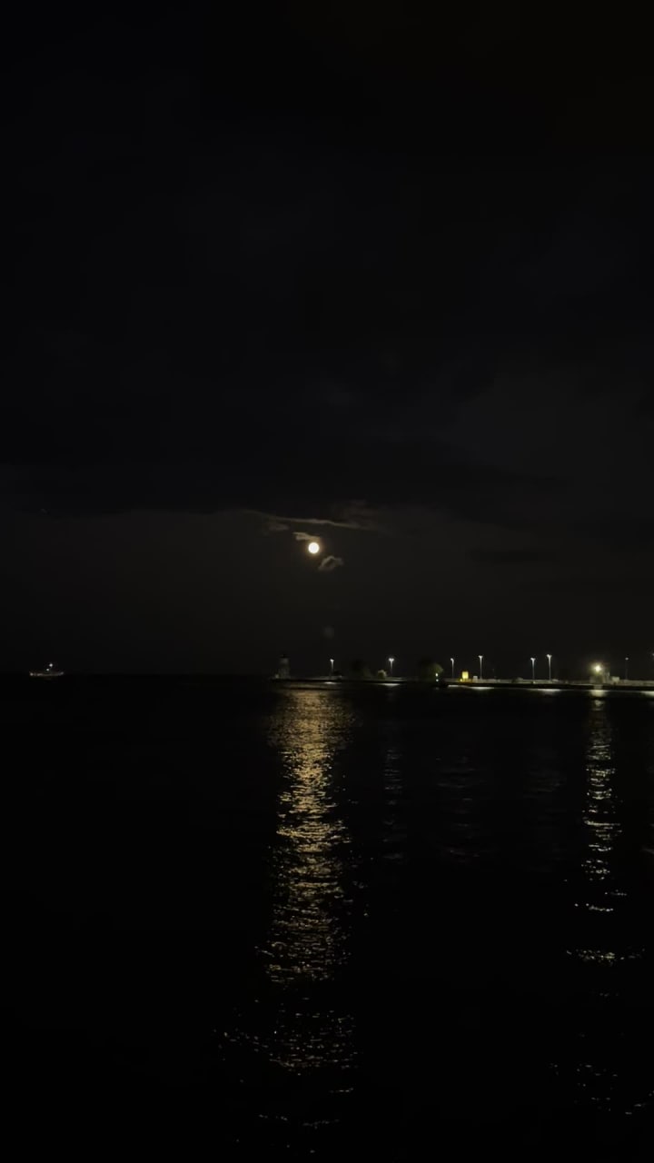 The Navy Pier Beer Garden