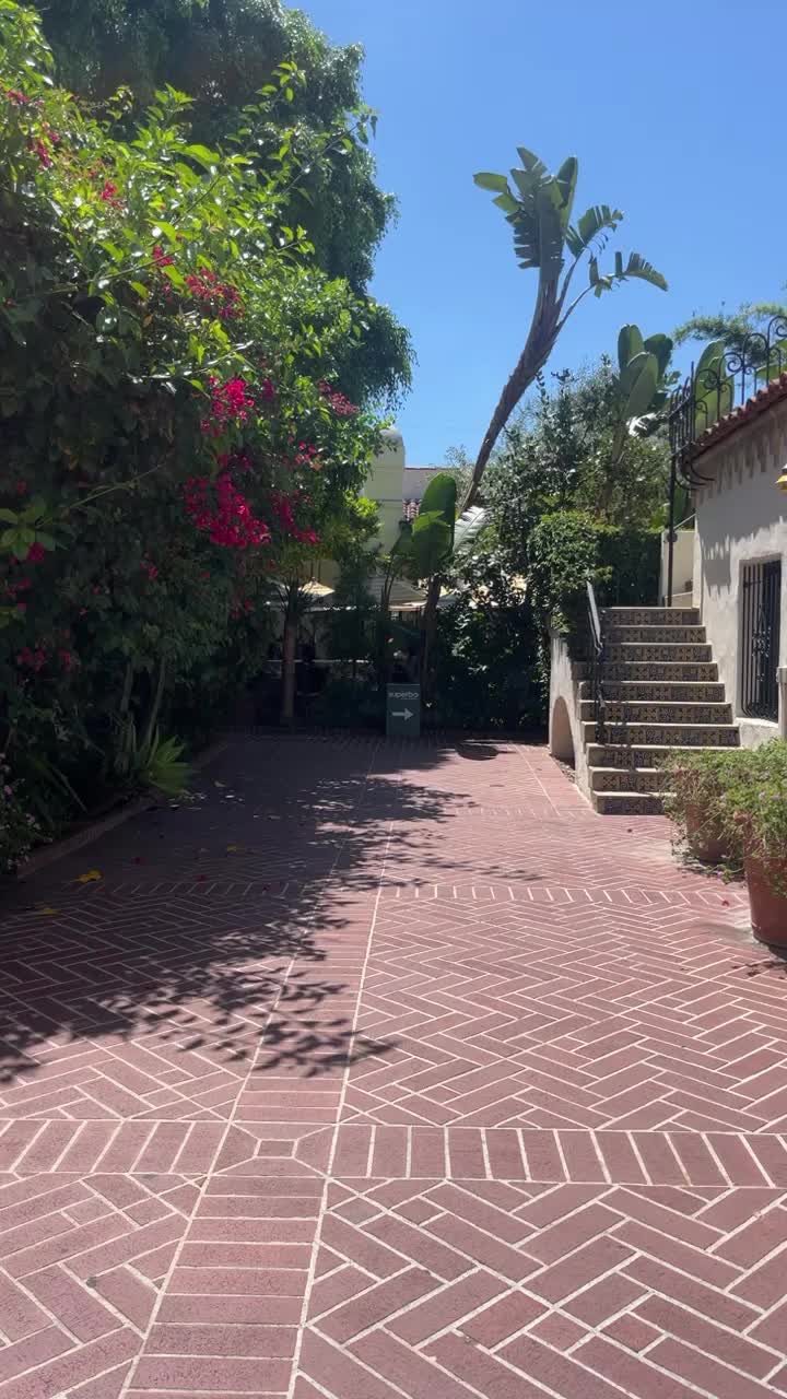 Video review of Superba Food + Bread