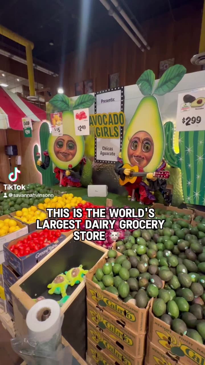 Video review of Stew Leonard's