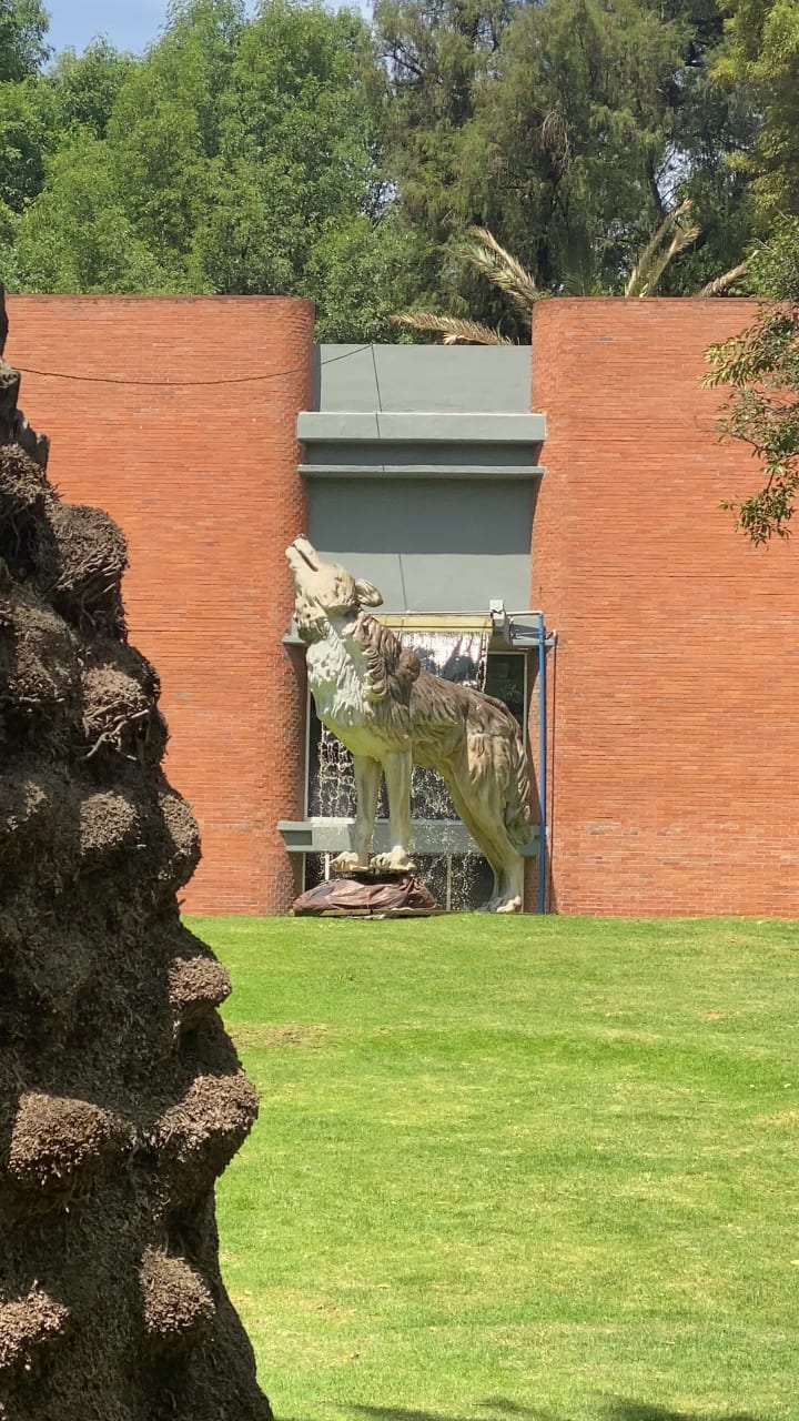 Bosque de Chapultepec