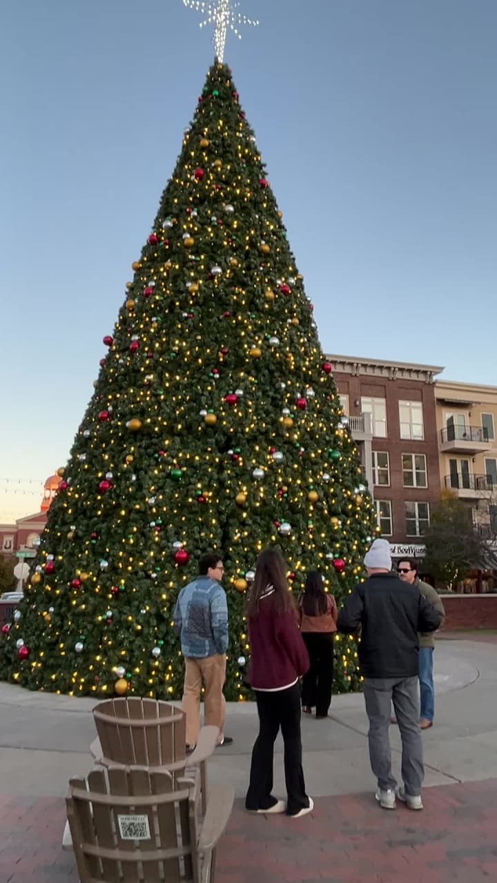 Alpharetta City Center