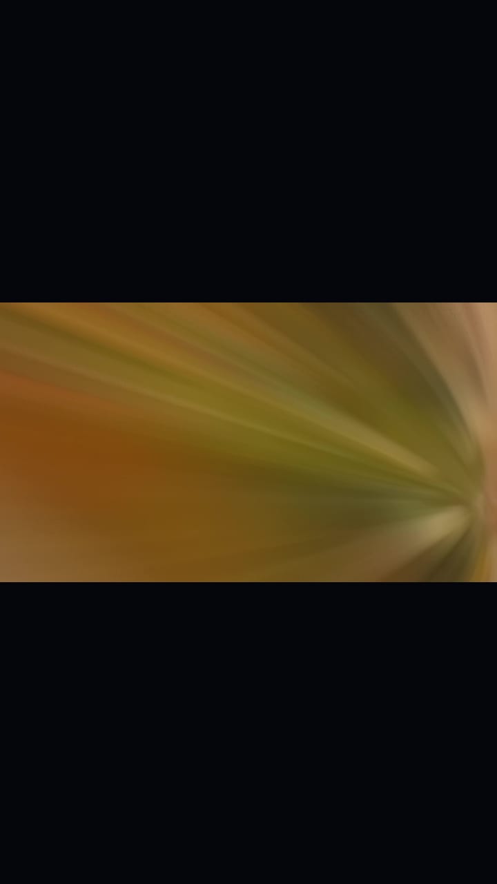 Co.opmart Nguyen Dinh Chieu