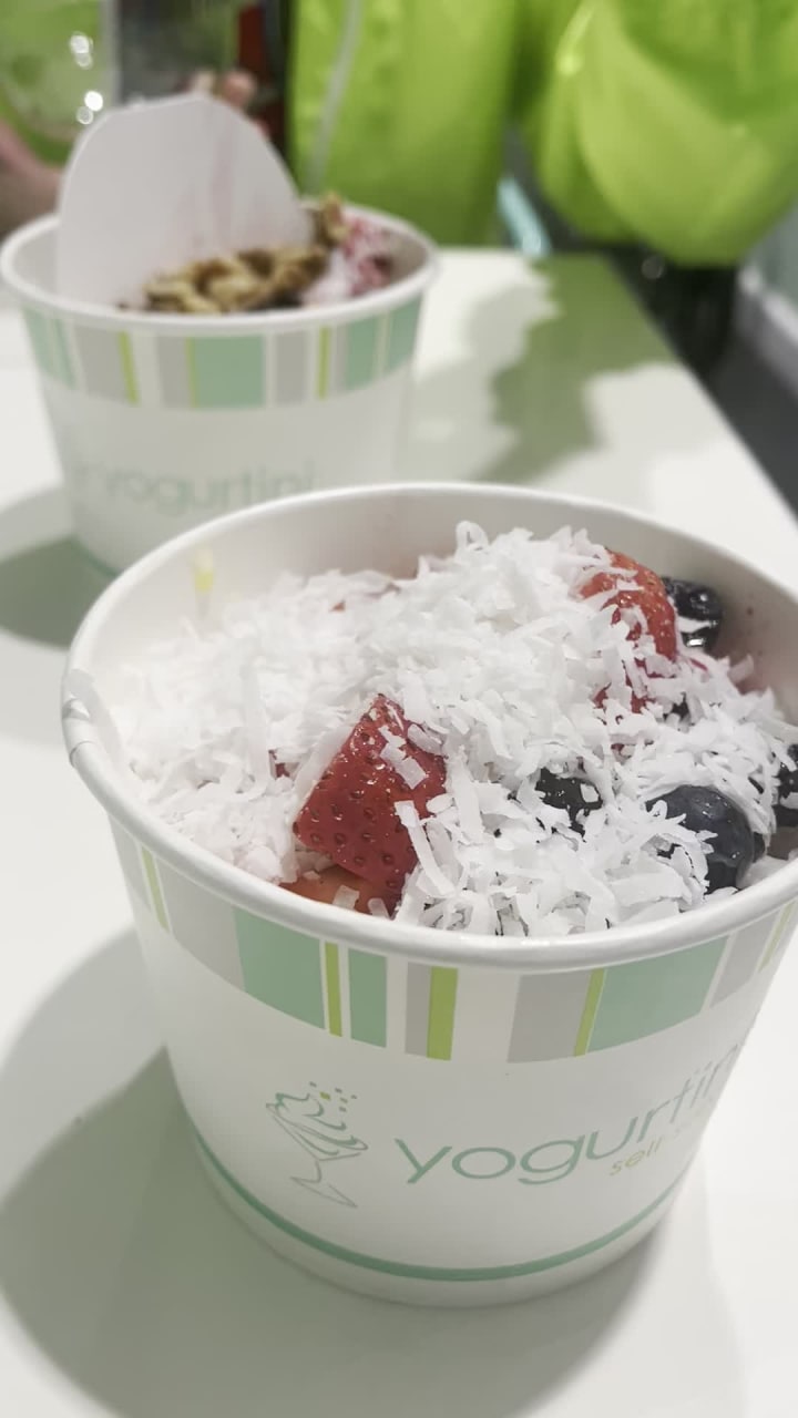 Yogurtini-Rmcf-Scottsdale