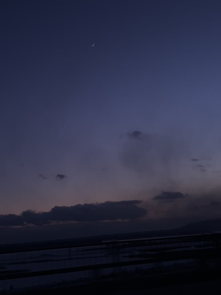 Wussow's Concert Cafe