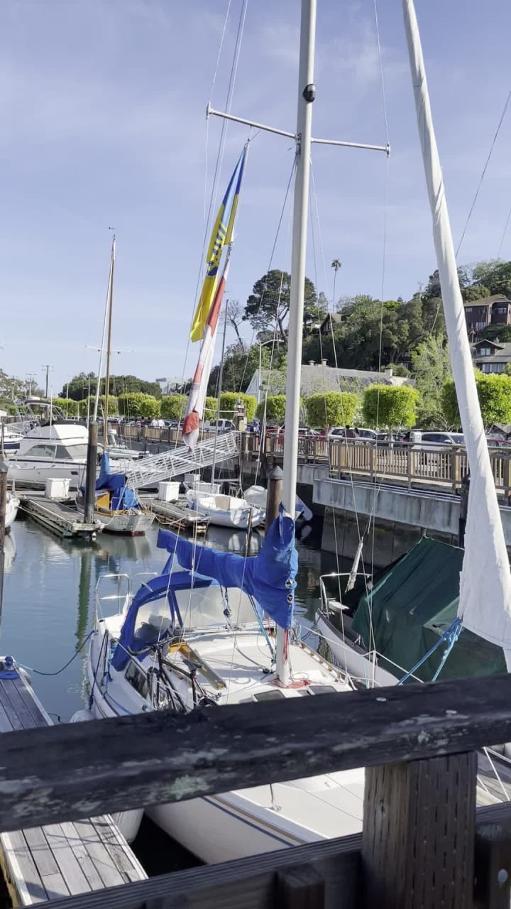 Video review of Sausalito Yacht Harbor