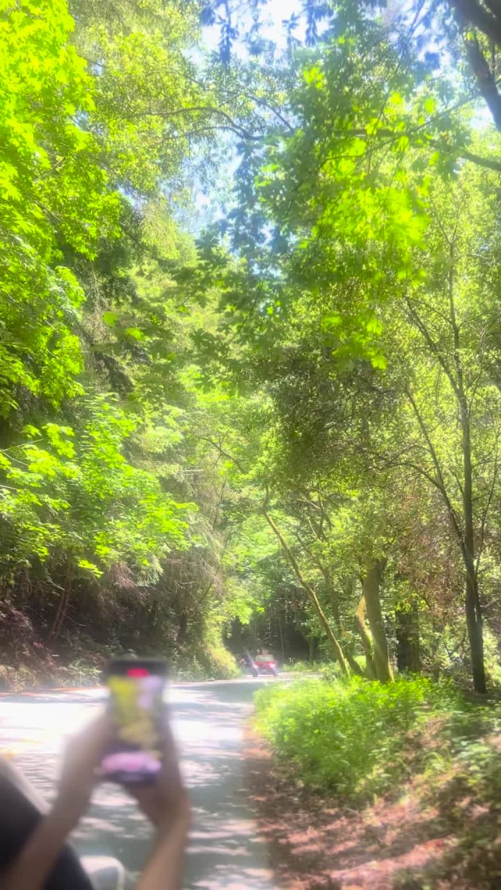 Santa Cruz Beach Boardwalk