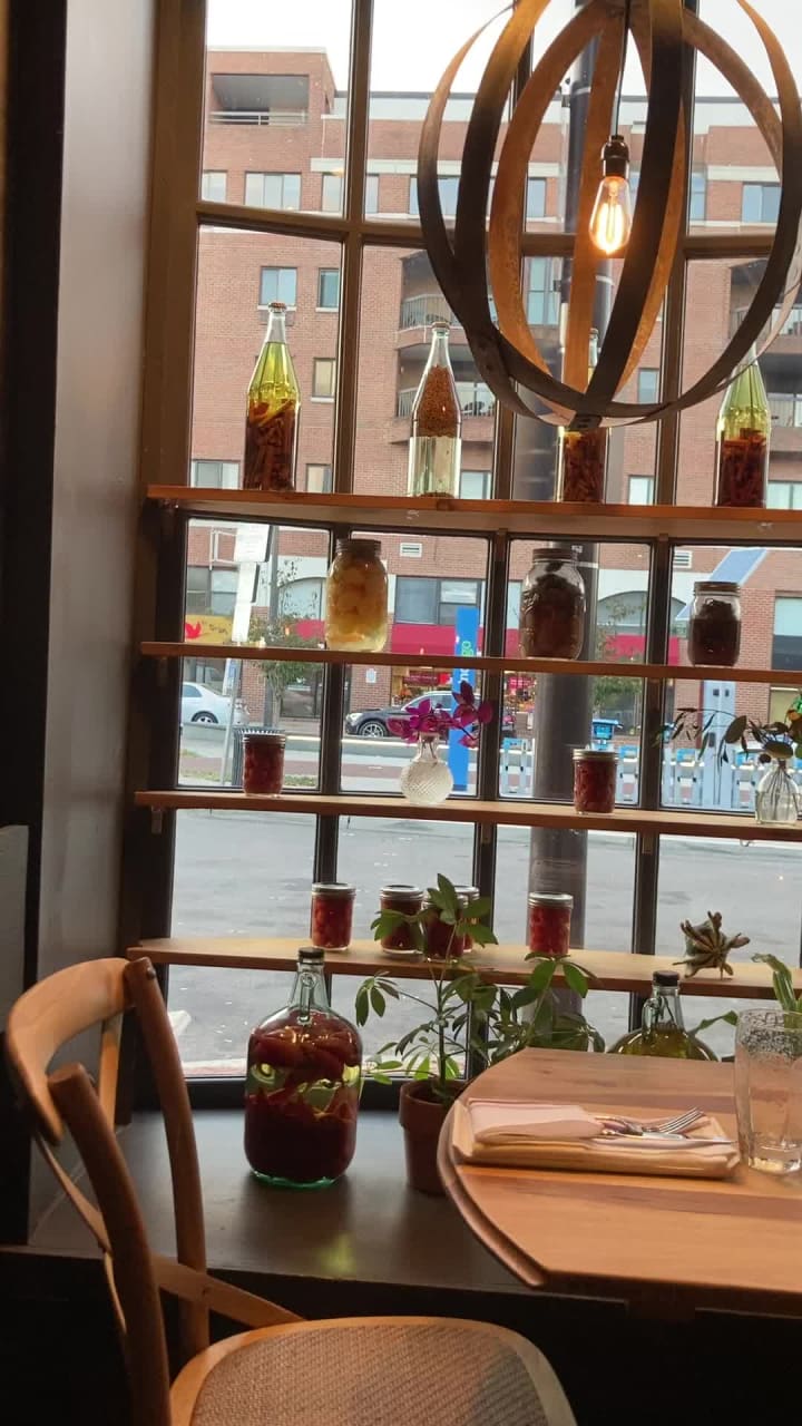 Video review of The Twisted Tail