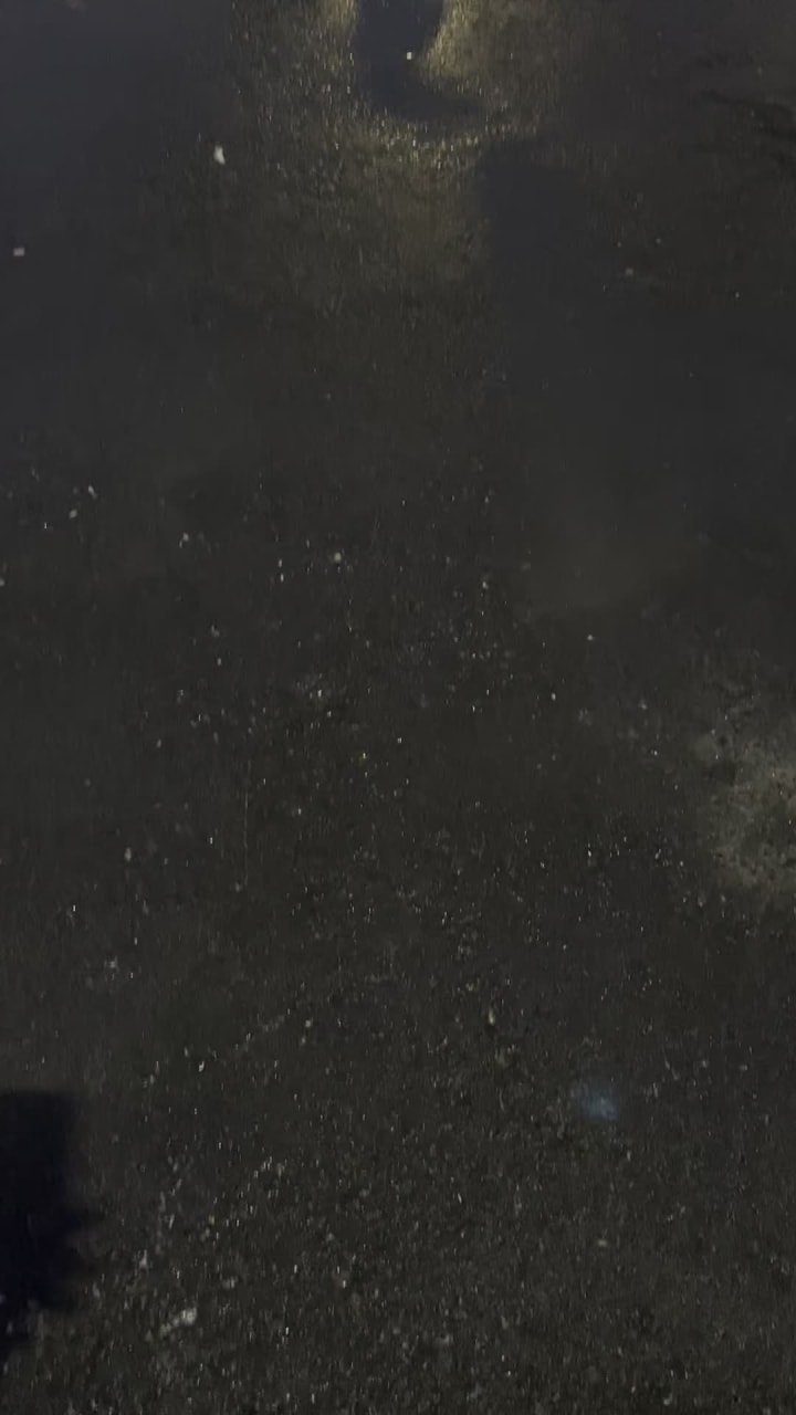 Video review of BMO Field