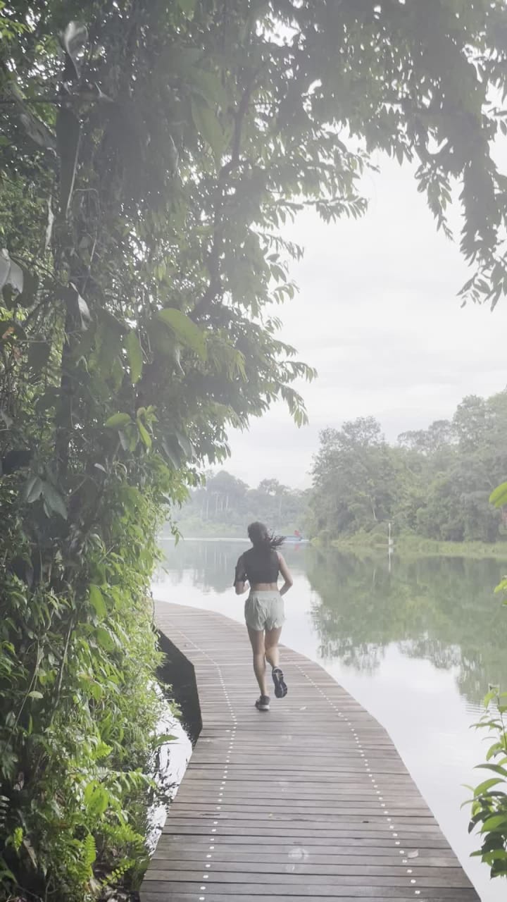 Lower Peirce Reservoir Park