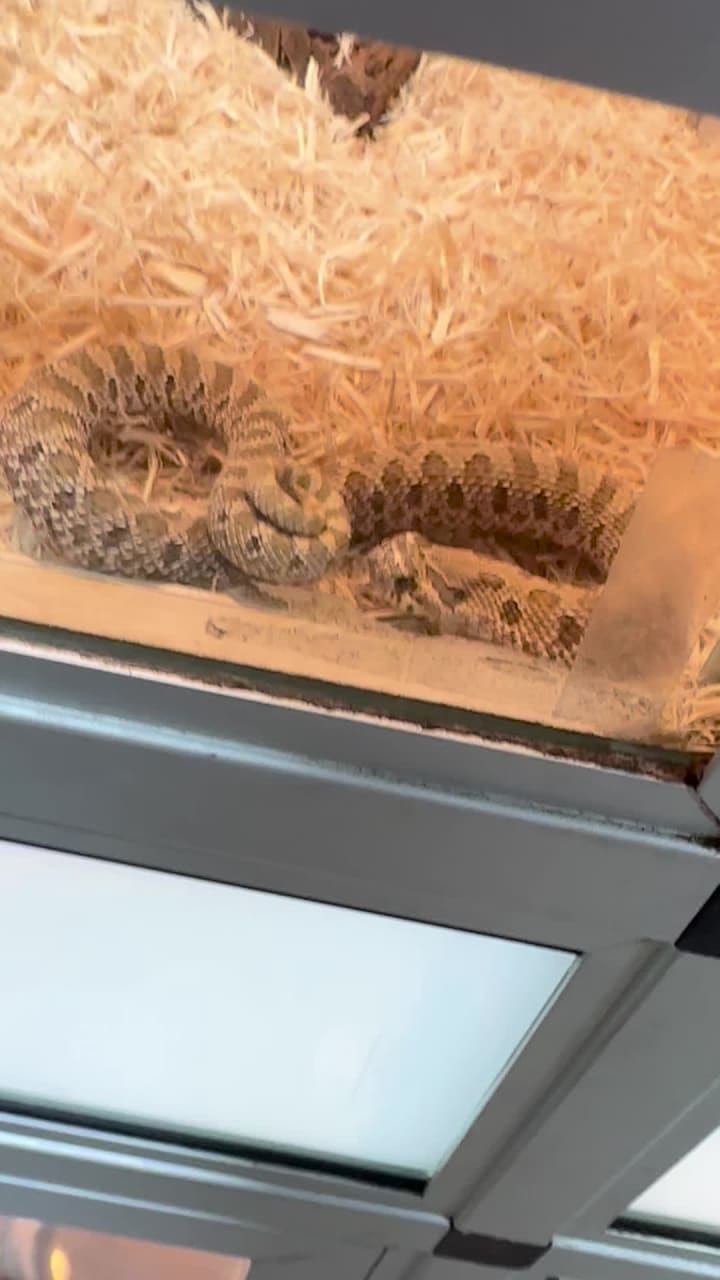 City Moment · Clemmons