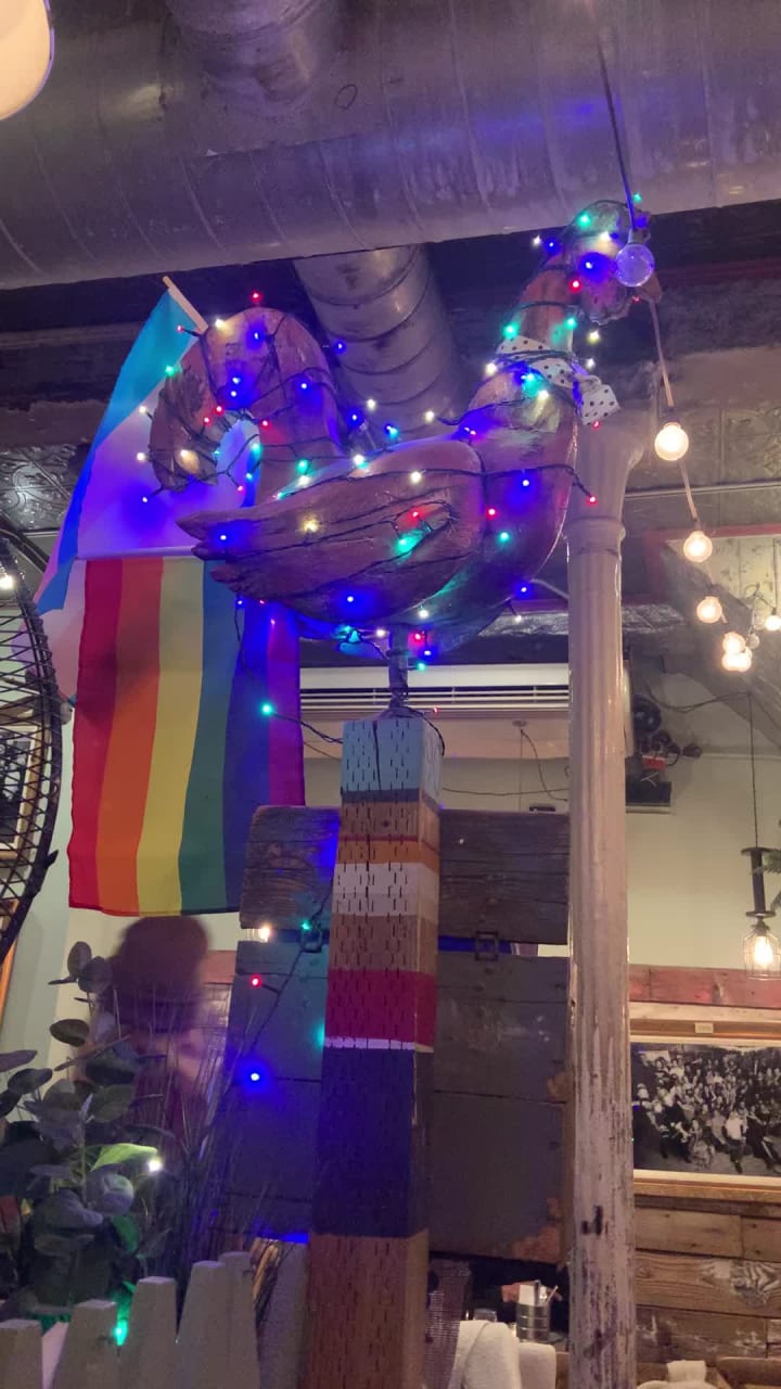 Video review of The Grey Dog