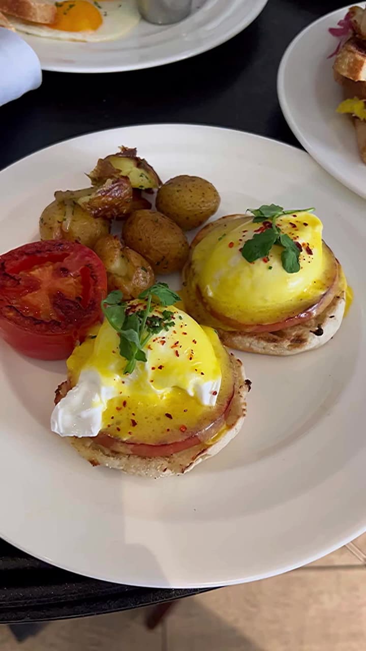 Video review of Allegory