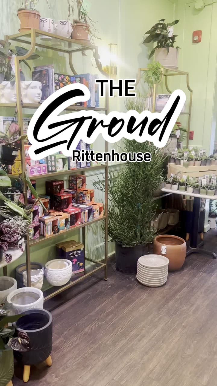 The ground Rittenhouse