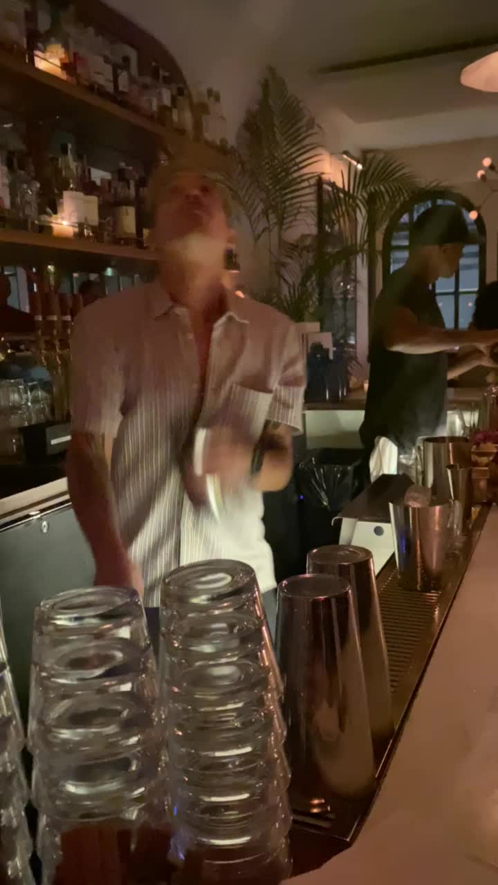 Video review of Jungle Bird