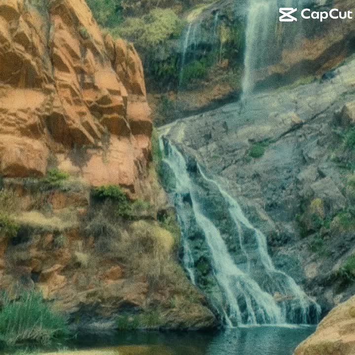 Walter Sisulu botanical gardens