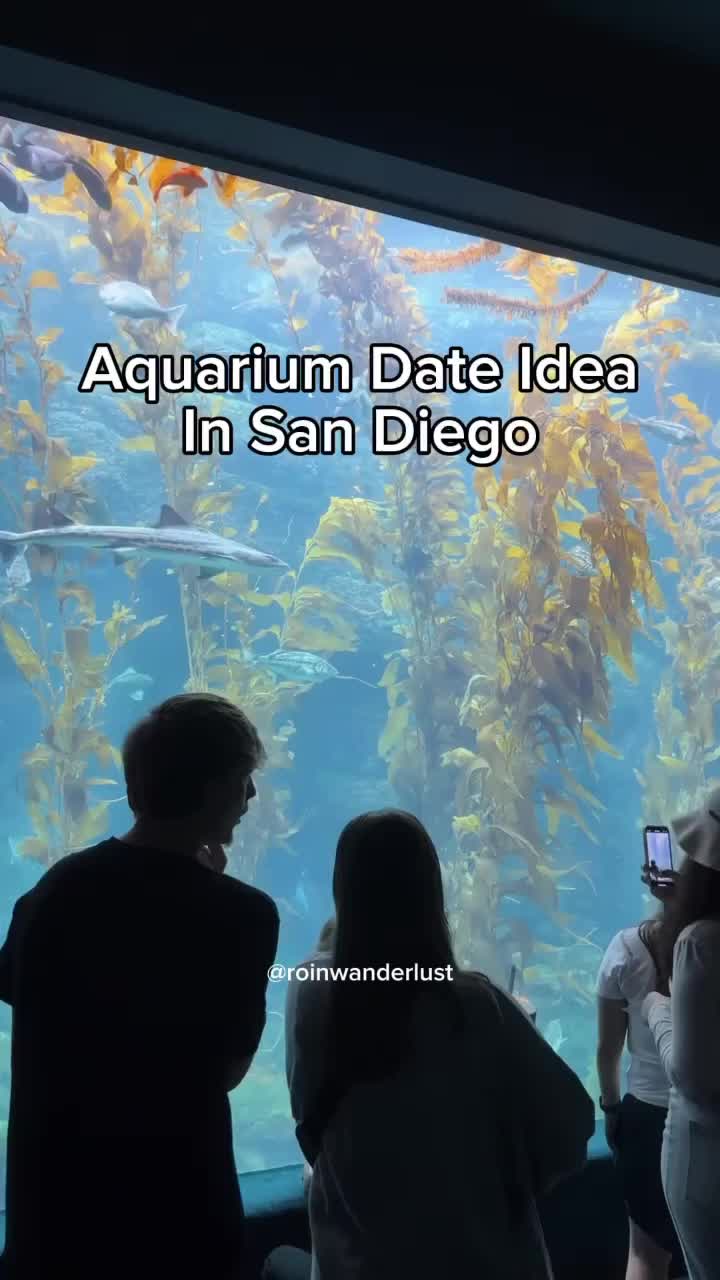 Birch Aquarium