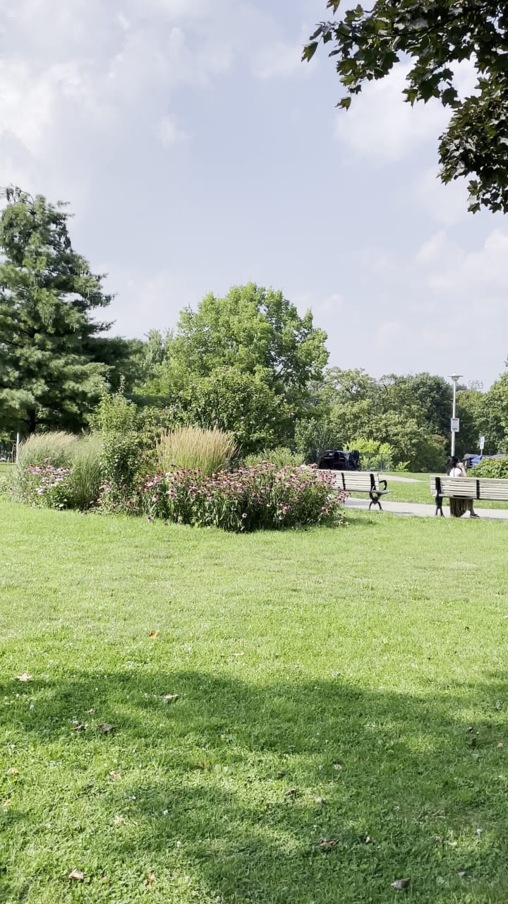 Video review of Christie Pits Park