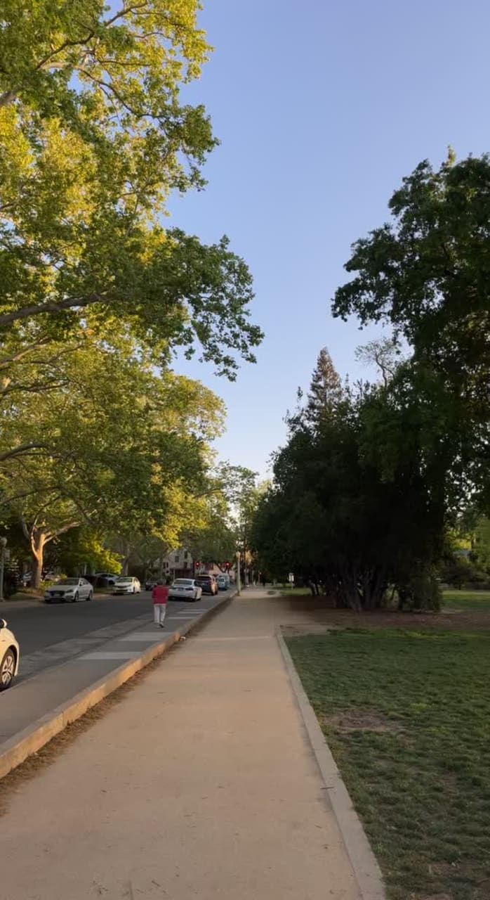 Video review of McKinley Park