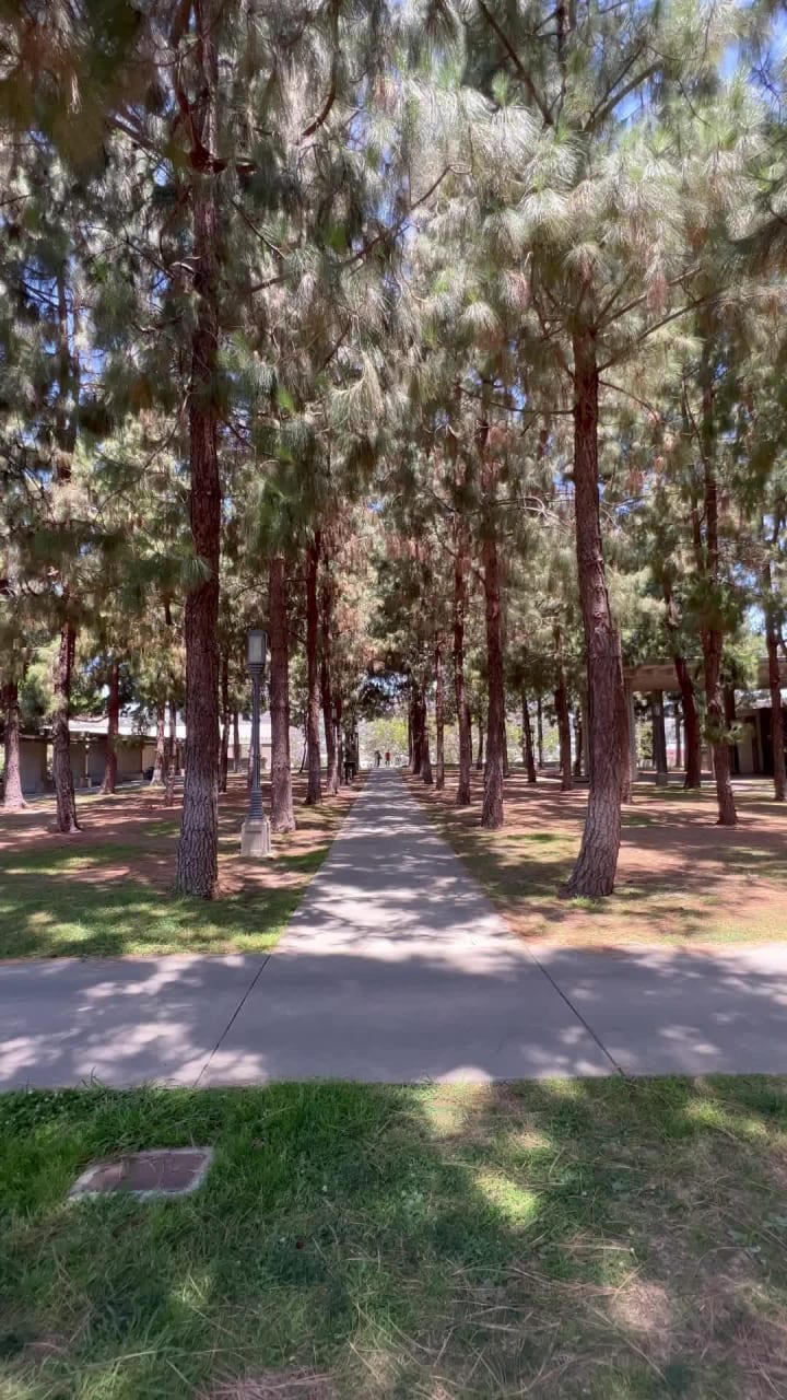 Video review of Barnsdall Art Park