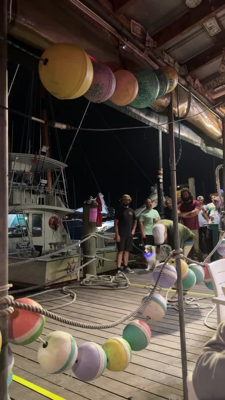 Video review of Schooner Wharf Bar