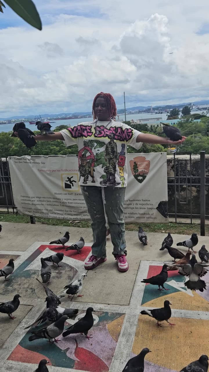 Pigeon Food and Snack Store