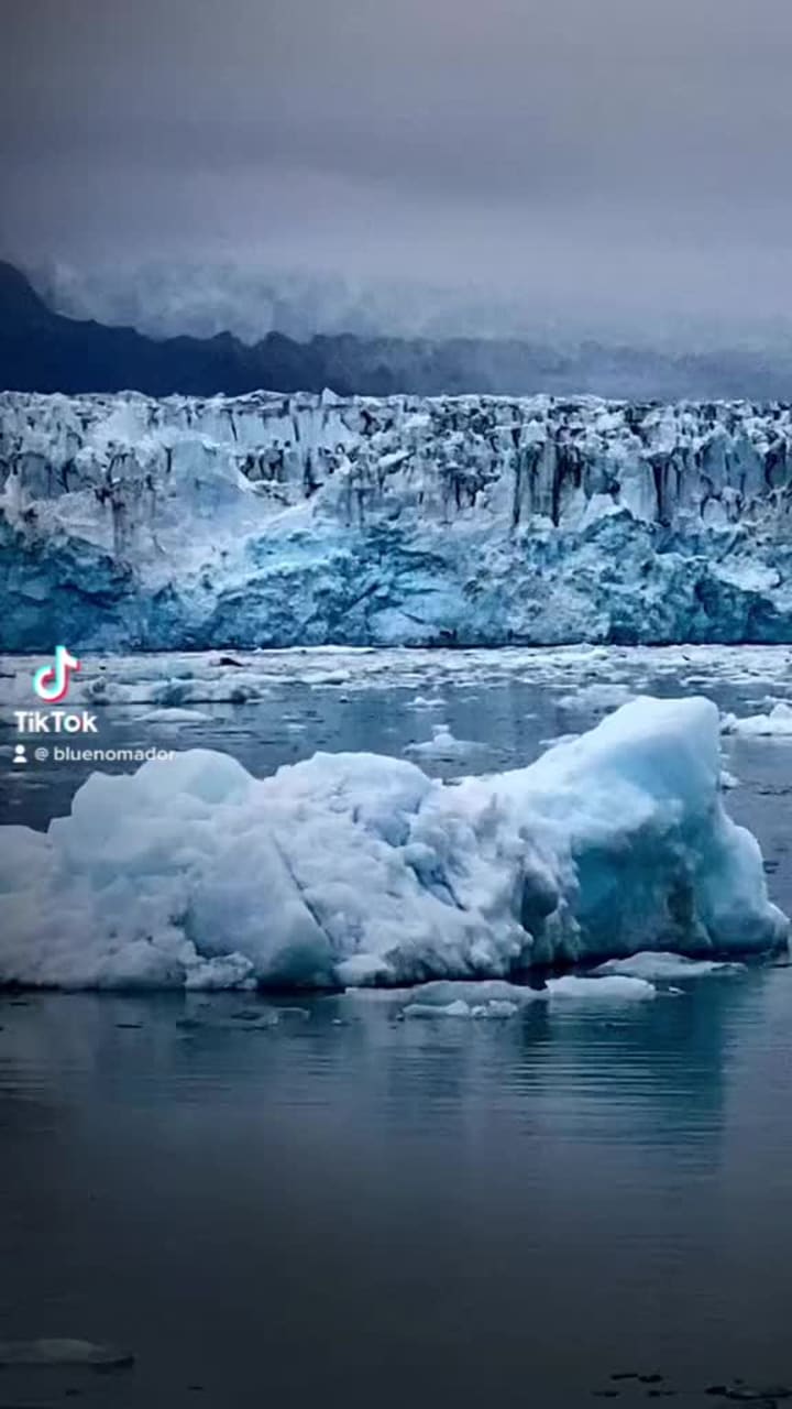 Stan Stephens Glacier & Wildlife Cruises