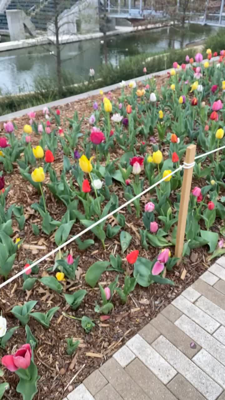 Myriad Botanical Gardens