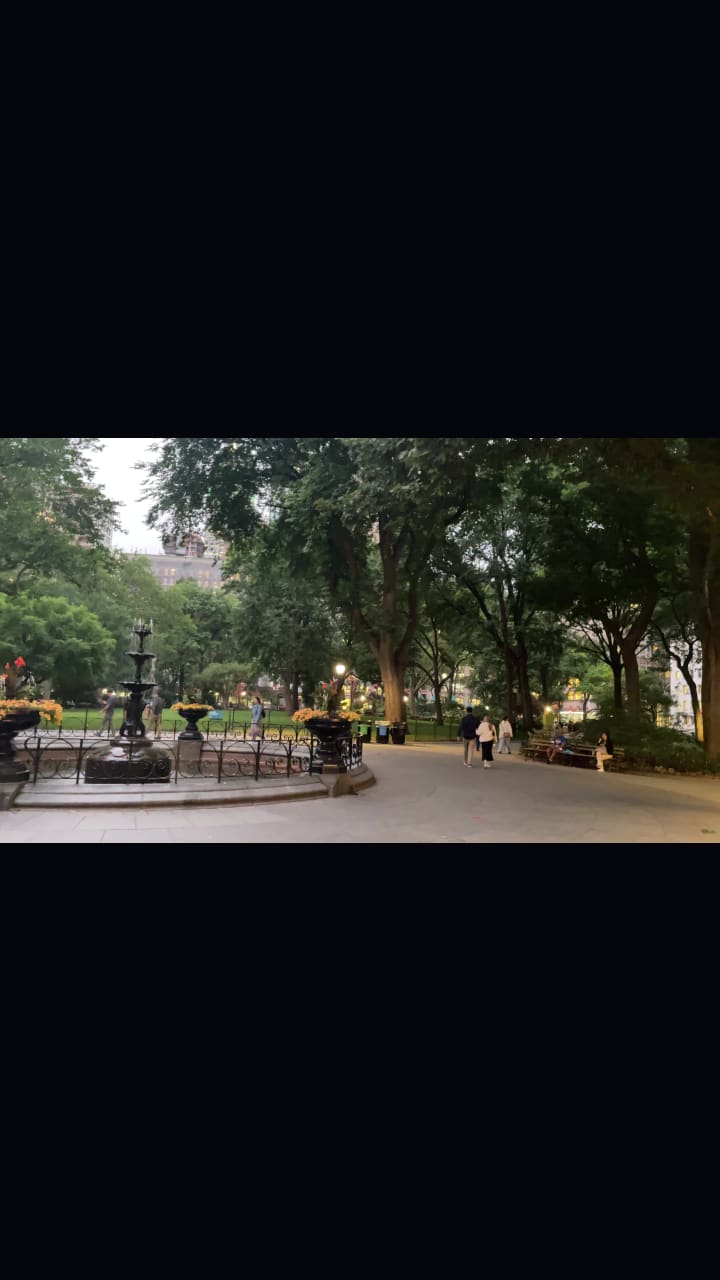 New York Shake Shack